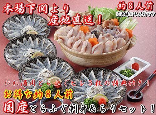 {ꉺ ɓX YƂӂhgӂ ʃZbg (8lO)