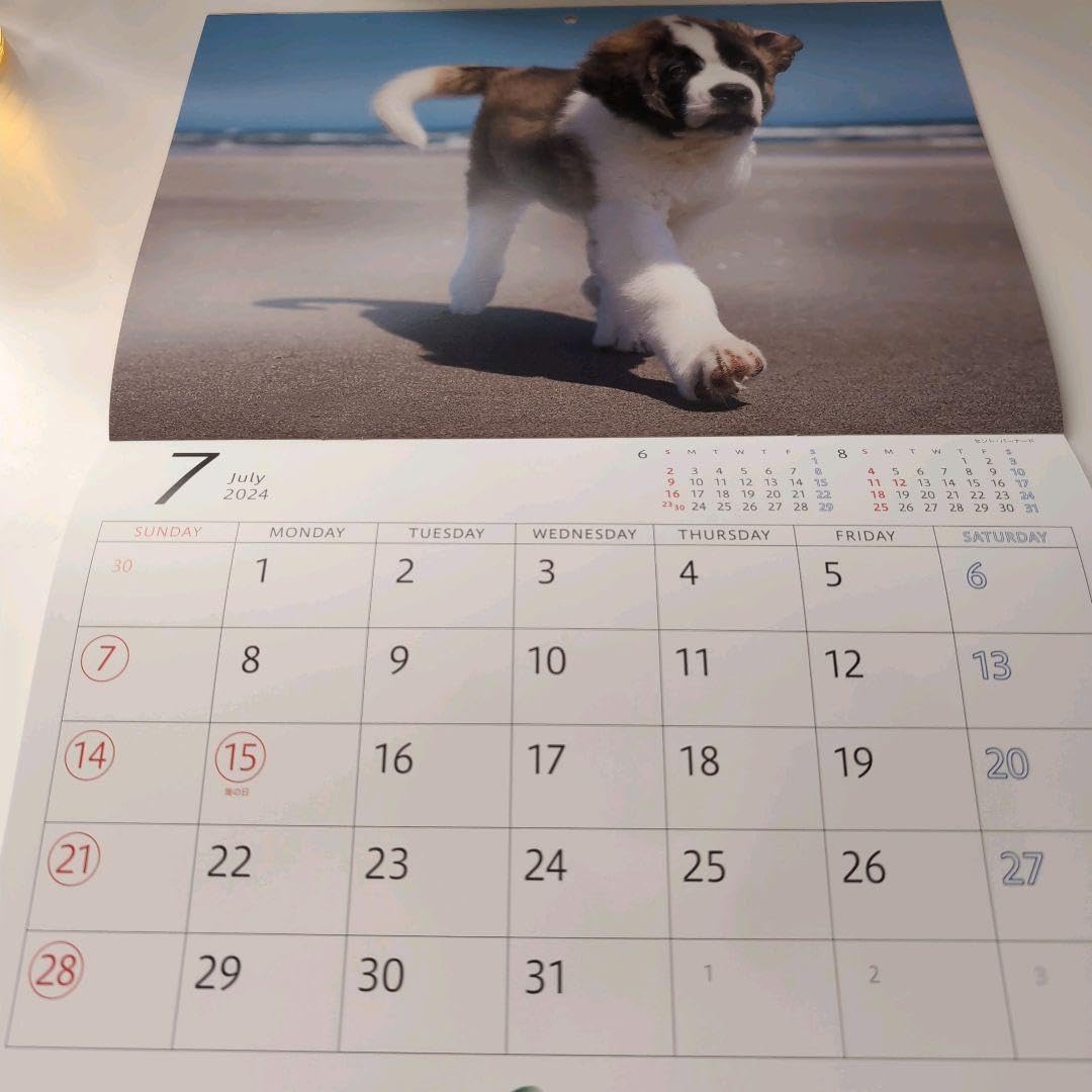 Amazon.co.jp: 生命 ゆかいな子犬たち 2024年 壁掛けカレンダー