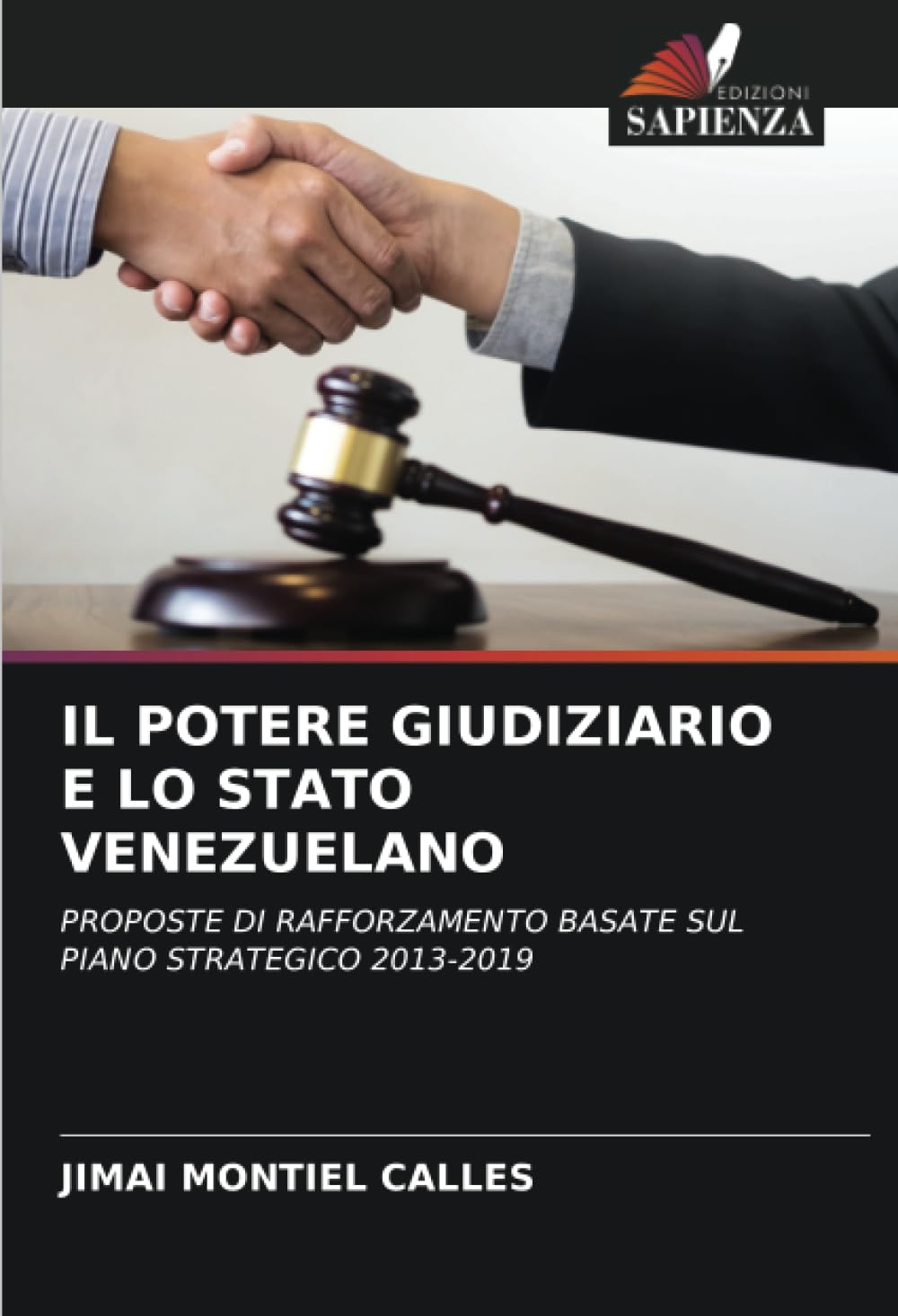 IL POTERE GIUDIZIARIO E LO STATO VENEZUELANO: PROPOSTE DI RAFFORZAMENTO BASATE SUL PIANO STRATEGICO 2013-2019 (Italian Edition)