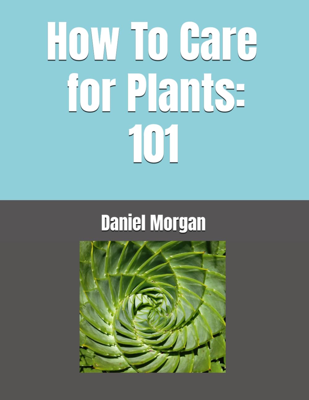 How To Care for Plants: 101