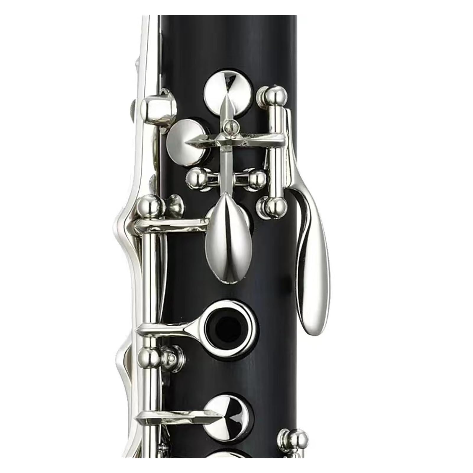 Clarinetto per Principianti Esame di Ammissione al Clarinetto per Suonatori di Strumenti Musicali Professionisti
