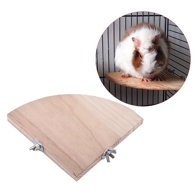 Foto 8 de 8 de Plataforma para pájaros, trampolín de madera con forma de abanico y perchas integradas