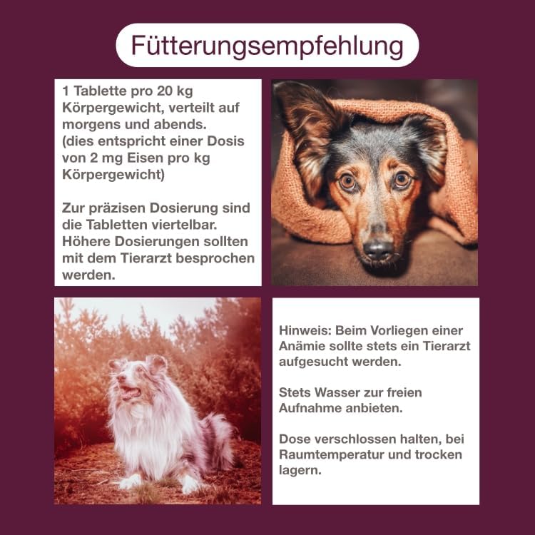 CaniMove Dreierpack | Blood (3 x 100) - Zur Unterstützung der Blutbildung und Eisen-Versorgung von Hunden und Katzen | Mit Eisen, Kupfer, Vitamin A, Vitamin C, Folsäure, B12