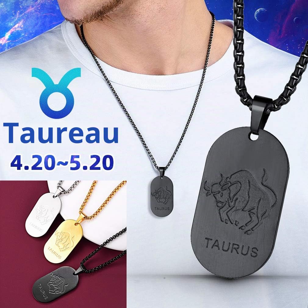 FaithHeart Collier Signe Astrologique Homme Femme Noir Acier Inoxydable,Pendentif Plaque Militaire Zodiaque avec Chaîne Réglable