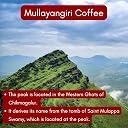 Toffee Coffee Roasters | Mullayanagiri Coffee, Medium Dark Roast, 500 g | Grind: Pour Over, Single Origin, 100% Arabica | Speciality Coffee | Freshly Roasted gallery image