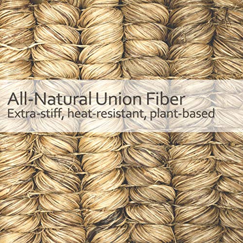 Image of REDECKER Union Fiber Toilet Brush with Untreated Beechwood Handle - Natural Stiff Bristles, 15 inch - Stiff Bristle Toilet Brush - Natural Bristle Bathroom Cleaning Brush, Made in Germany