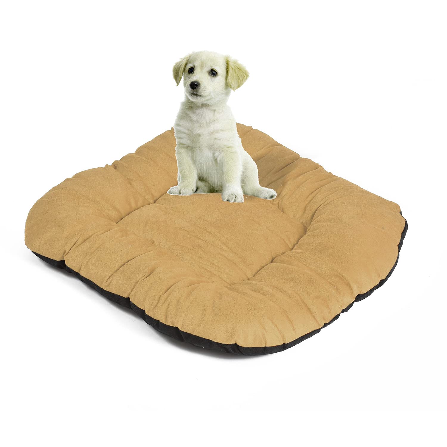 See full amazon price history chart for M-TEXITO Dog Bed, Cat Beds for Indoor Cats, Pet Bed for Puppy and Kitty, Extra Soft & Machine Washable (M, Beige) M-TEXITO Dog Bed, Cat Beds for Indoor Cats, Pet Bed for Puppy and Kitty, Extra Soft & Machine Washable (M, Beige) (B0C2CVWJV8) Amazon Price History, Amazon Price Tracker