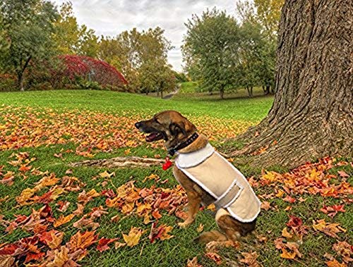 CT DISCOUNT STORE Shearling Fleece Dog Jacket...