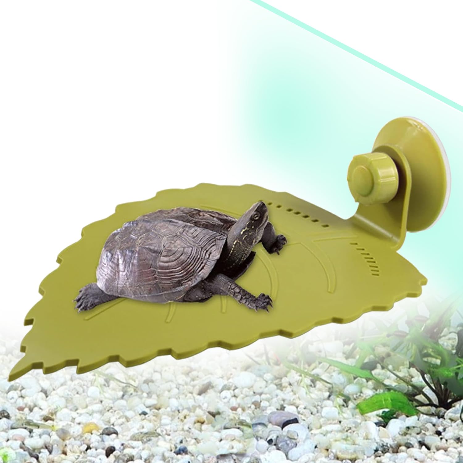 JAINSONS PET PRODUCTS Leaf-Shaped Turtle Basking Platform Turtle Patio with Suction Cups for Reptiles in Aquariums, Dock Leaf Turtle Basking Perfect Spot for Turtles to, Relax, and Explore (Medium)-image-21