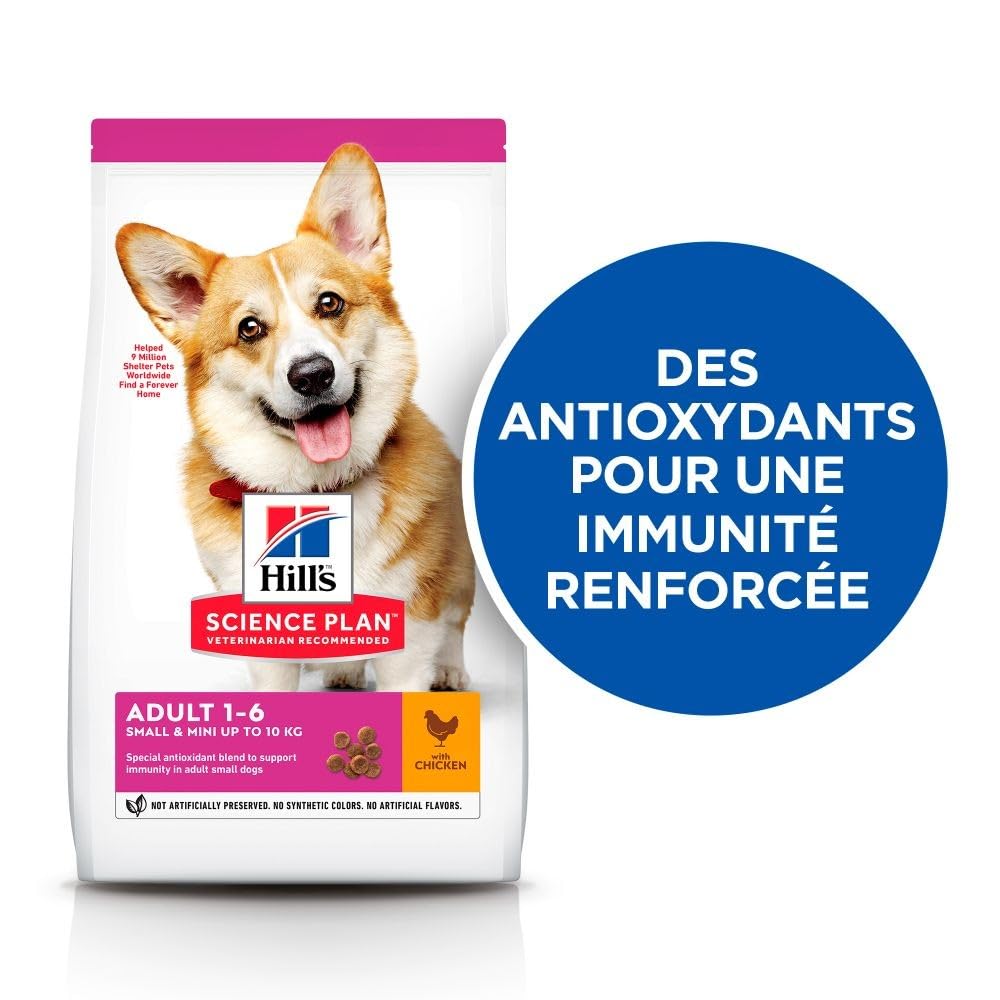 Hills Cane Adult Small Mini Pollo 6 kg