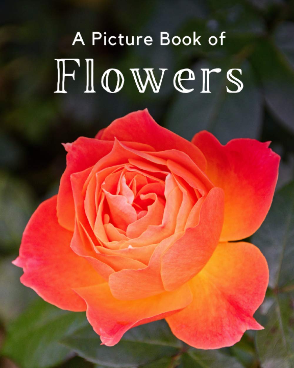 A Picture Book of Flowers: A Beautiful Picture Book for Seniors With Alzheimer’s or Dementia. A Great Gift for Elderly Parent and Grandparents: 2 (Picture Books For Seniors)