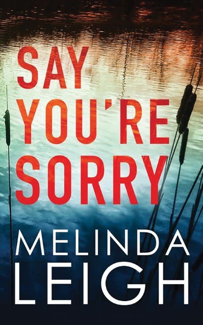 Say You're Sorry (Morgan Dane) Paperback – May 16, 2017