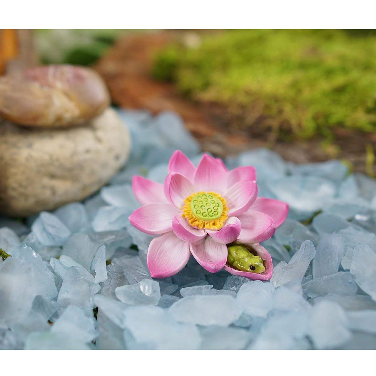 Amazon.co.jp: Top Collection ミニチュア フェアリーガーデン