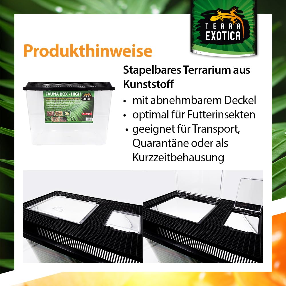 Terra Exotica Fauna Box Flat (Large, Small) oder Fauna Box High (Large, X-Large) - Transportbox für Reptilien, Amphibien,Mäuse - Kunststoffterrarium/Zuchtbox für Insekten (High, Extra-Large)