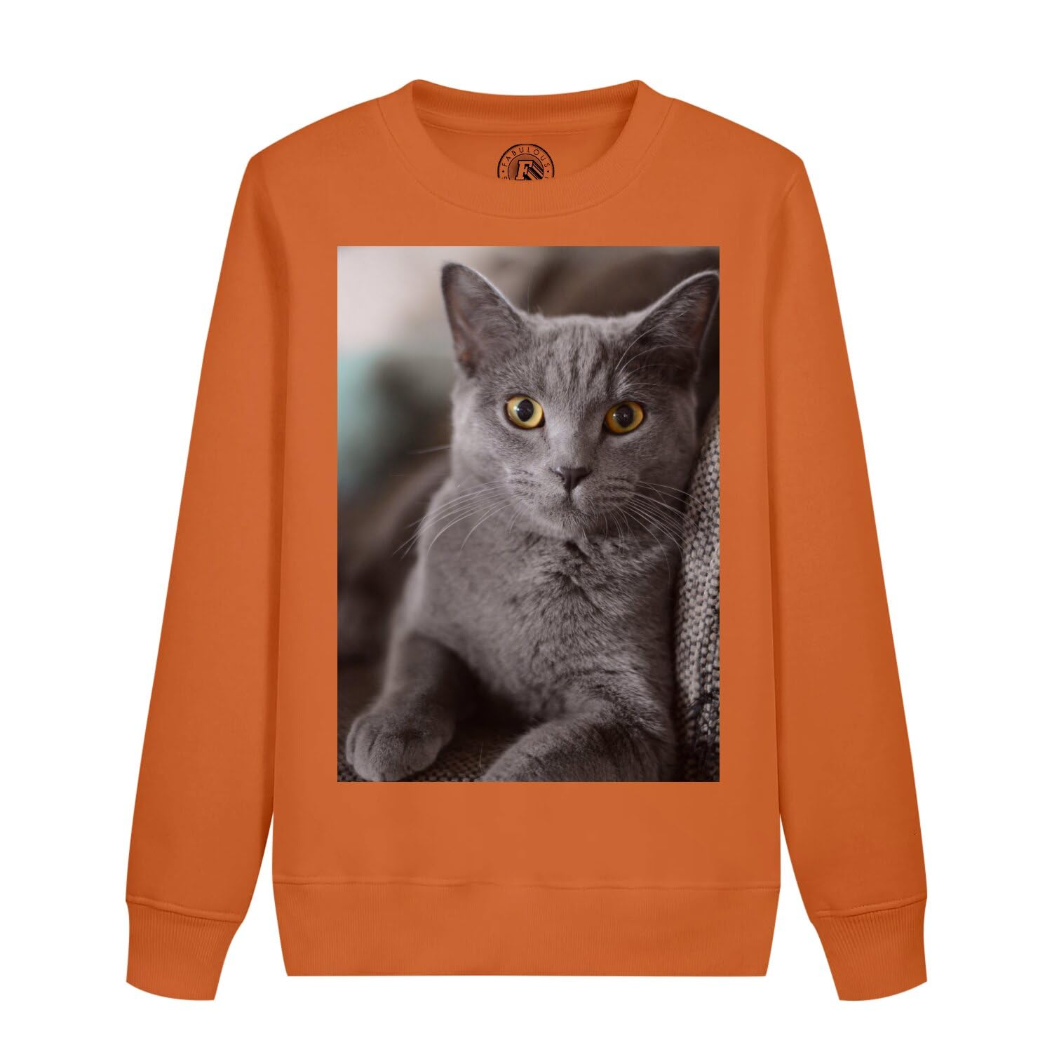 Sweat enfant chat Russian Blue le cadeau d'anniversaire idéal - 4