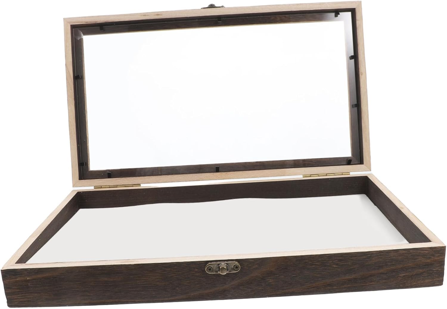 PRETYZOOM Butterfly Specimen Display Case Wooden Insect Shadow Box for Collectibles with Clear Lid for Safe Preservation and Easy