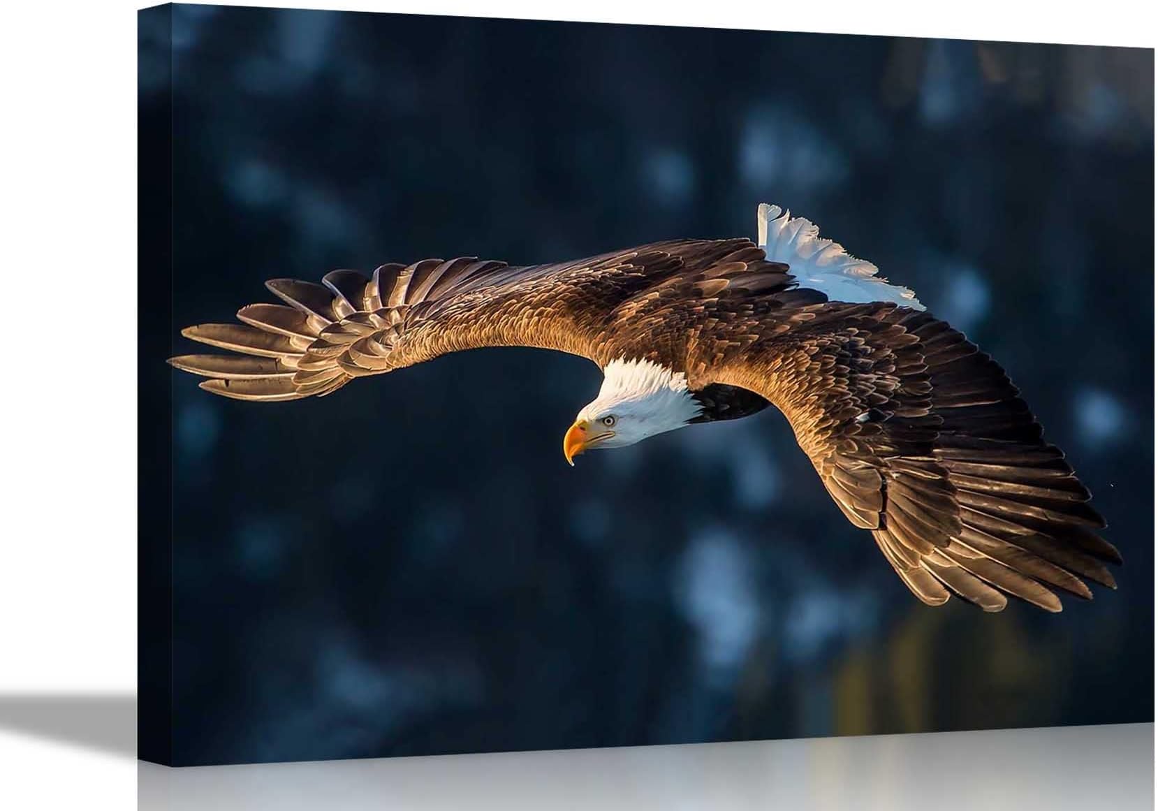 Sponsored Ad – Diving Eagle Canvas Wall Art Prints Animal Pictures Stretched and Framed Poster Art for Home Livingroom Bird Artwork 40 x 30cm (16 x 12 inches)