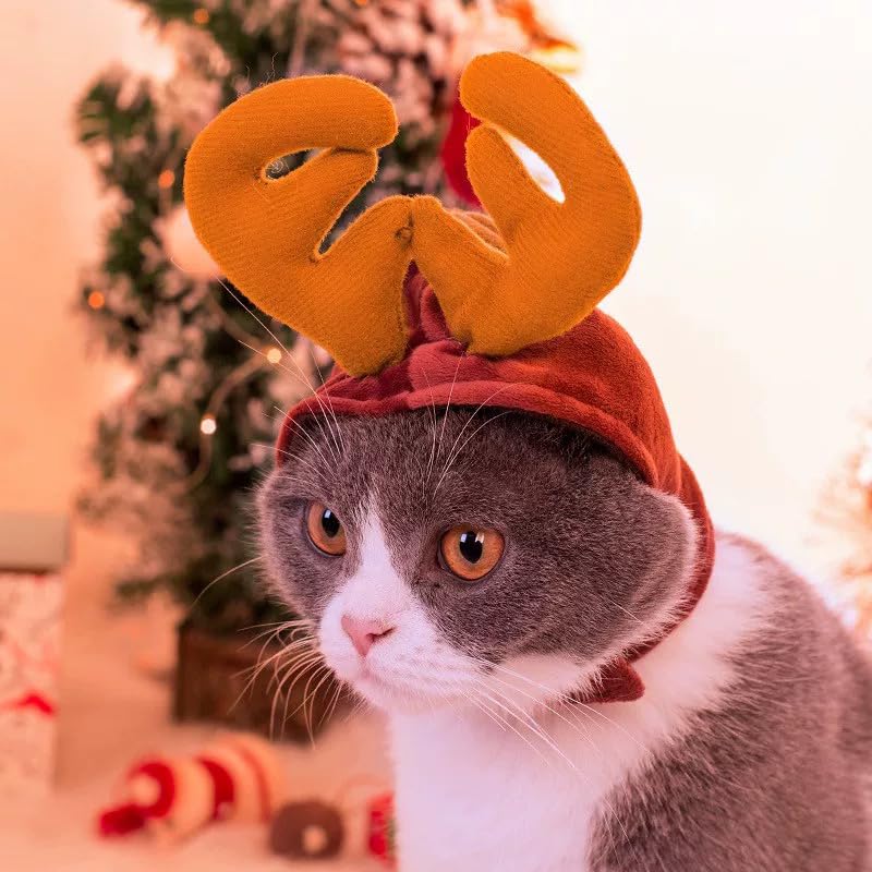 Sombrero con astas de reno para gato Navidad pequeño miniatura 5