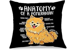 Perfect Pomeranian Pillow: A Cozy Companion for Dog Lovers