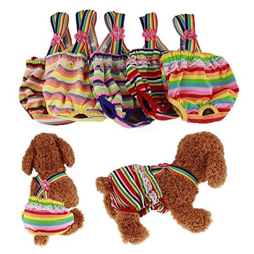 RC GearPro Pack de 2 pañales Lavables Perros, Bragas sanitarias para Mascotas con Liguero para Perras, Color al Azar (XS)