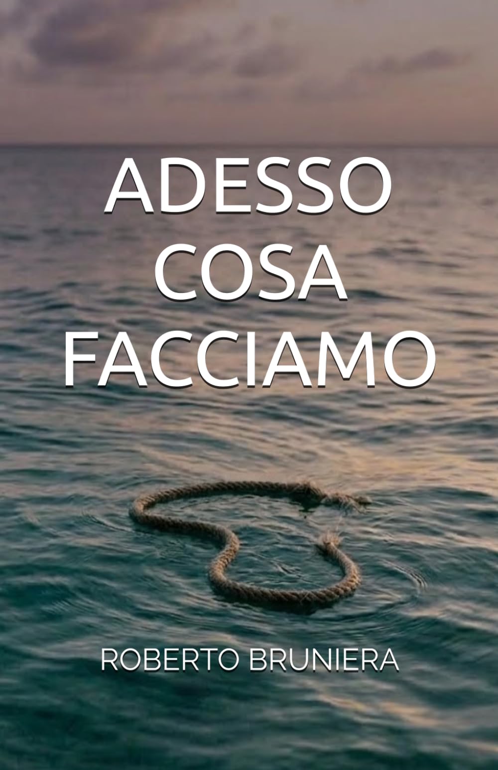 ADESSO COSA FACCIAMO