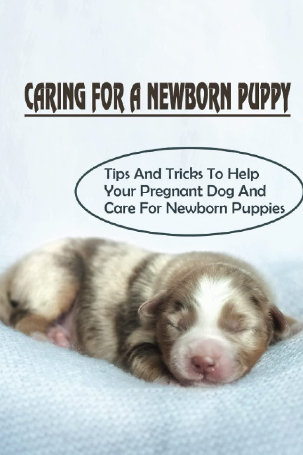 Caring For A Newborn Puppy: Tips And Tricks To Help Your Pregnant Dog And Care For Newborn Puppies