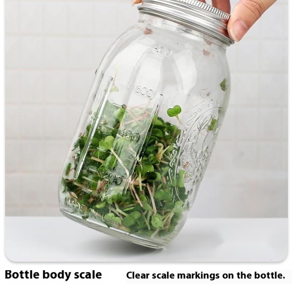 Lot de 2 Supports de Germination 1 000 ML, kit d'outils Croissance pour Plantes, Couvercle Filtre en Maille, Plateau, accès pour aux Bouteilles, pour la Maison et l'école