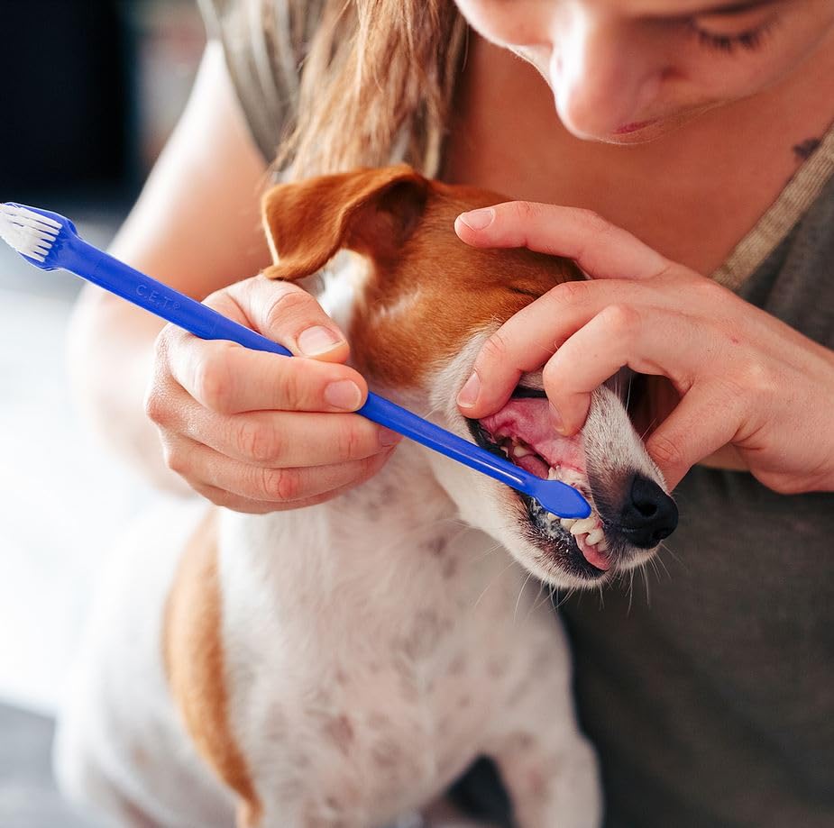 Virbac C.E.T. Zahnpasta | Mit Geflügelaroma für Hunde und Katzen | Patentiertes C.E.T. System