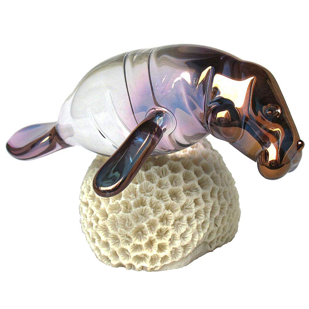 タップ Amazon.com: Manatee Figurine of Hand Blown Glass on Coral