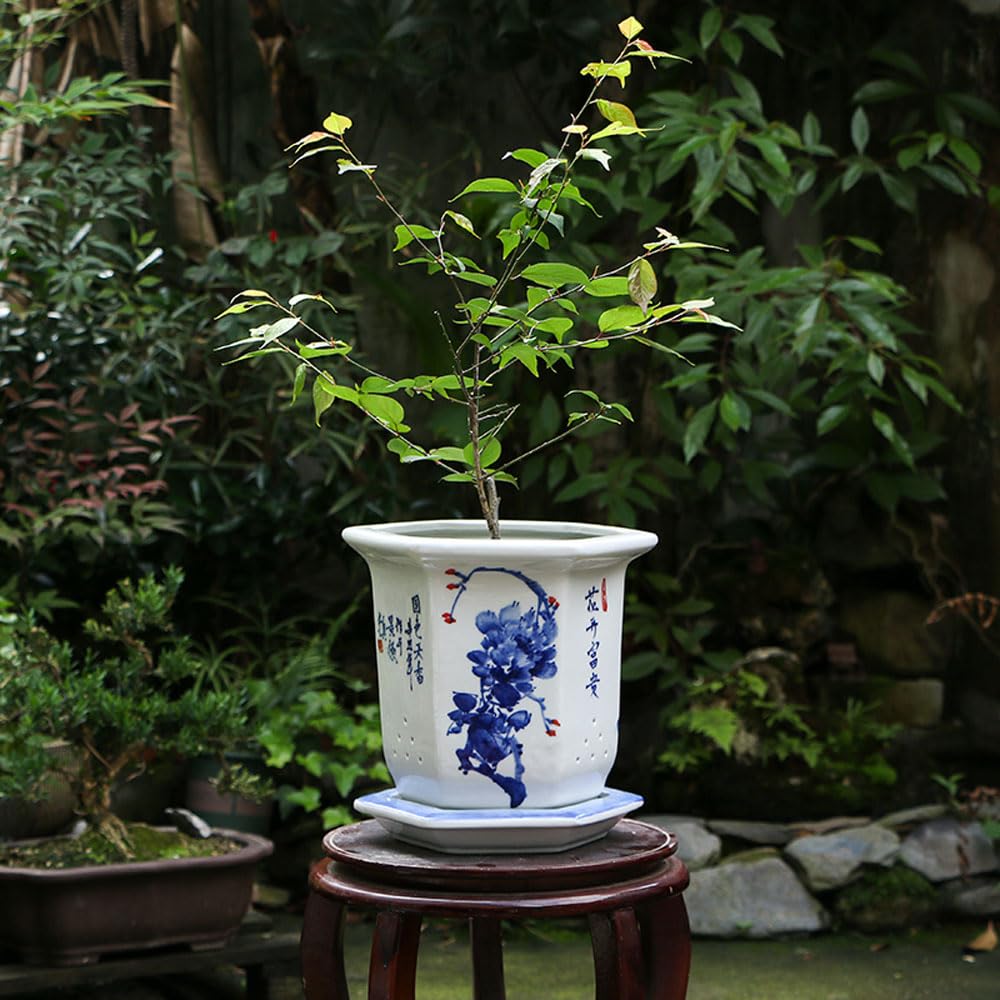 SWENEEN Jingdezhen Ceramic Planter Blue And White Porcelain Flower Pots Chinese Bonsai Pot Bohemia Decorative Plant Pot Table Centerpiece For Home Office Table,B