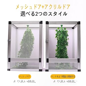 カナヘビ・爬虫類飼育11点セット カナヘビ トカゲ 爬虫類 飼育セット