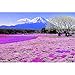 JW-MZPT Monte Fuji 500, 1000, 2000, 4000 Pezzi del Puzzle in Legno Puzzle, Uno splendido Scenario, Classic Giapponese Fiore di ciliegio Paesaggio, decompressione Puzzle Regalo,B,4000 Pieces
