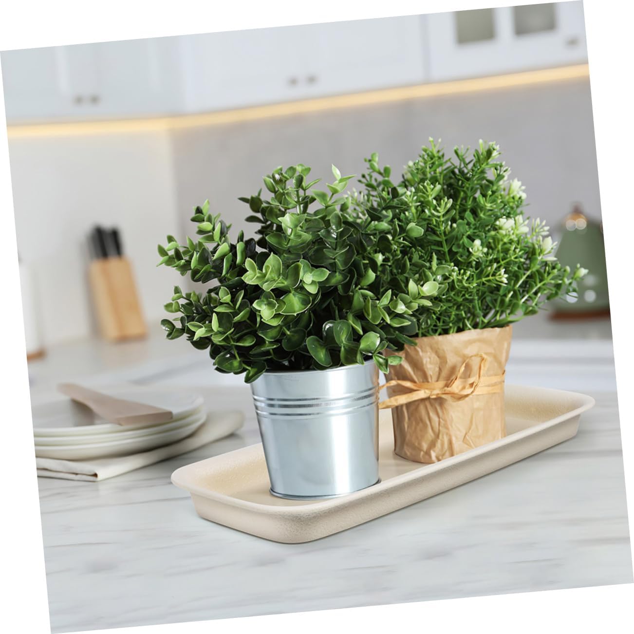 BESPORTBLE 12pcs Plant Saucers for Outdoors Plant Pot Tray Indoor Plate Water Trays