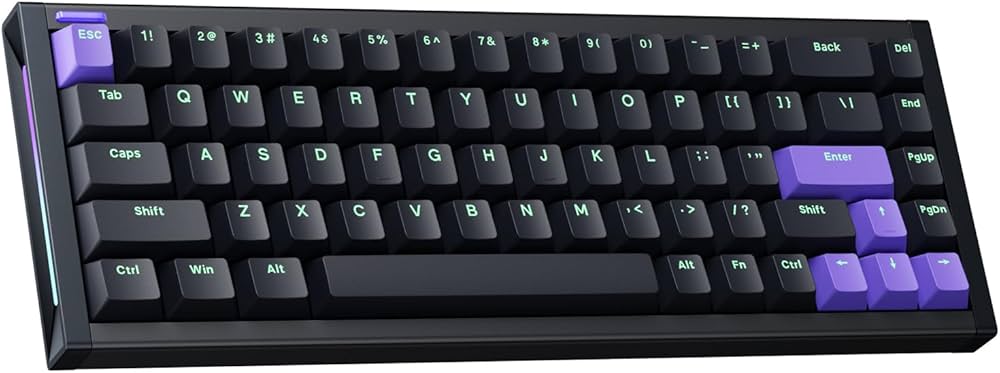 Amazon.co.jp: NuPhyX BH65 ゲーミングキーボード 65% 配列 68キー