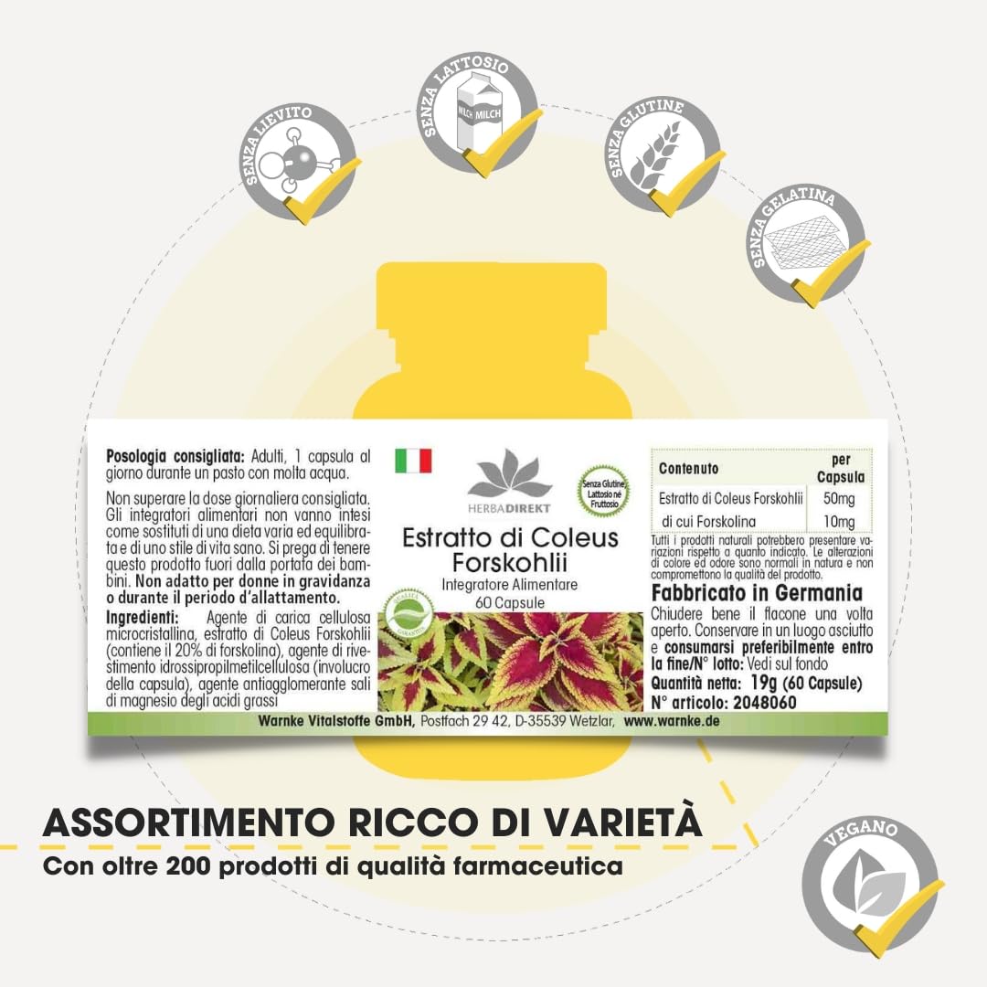 Coleus Forskohlina integratore - Estratto - con 10mg di Forskolin - 60 Capsule | HERBADIREKT by Warnke Vitalstoffe - Qualità da farmacia tedesca