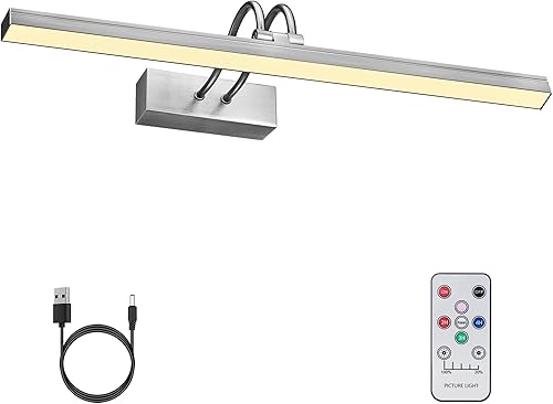FUNCHDAY Luz de imagen, luces inalámbricas recargables para galería con control remoto, iluminación artística regulable de 280 lúmenes, funciona con