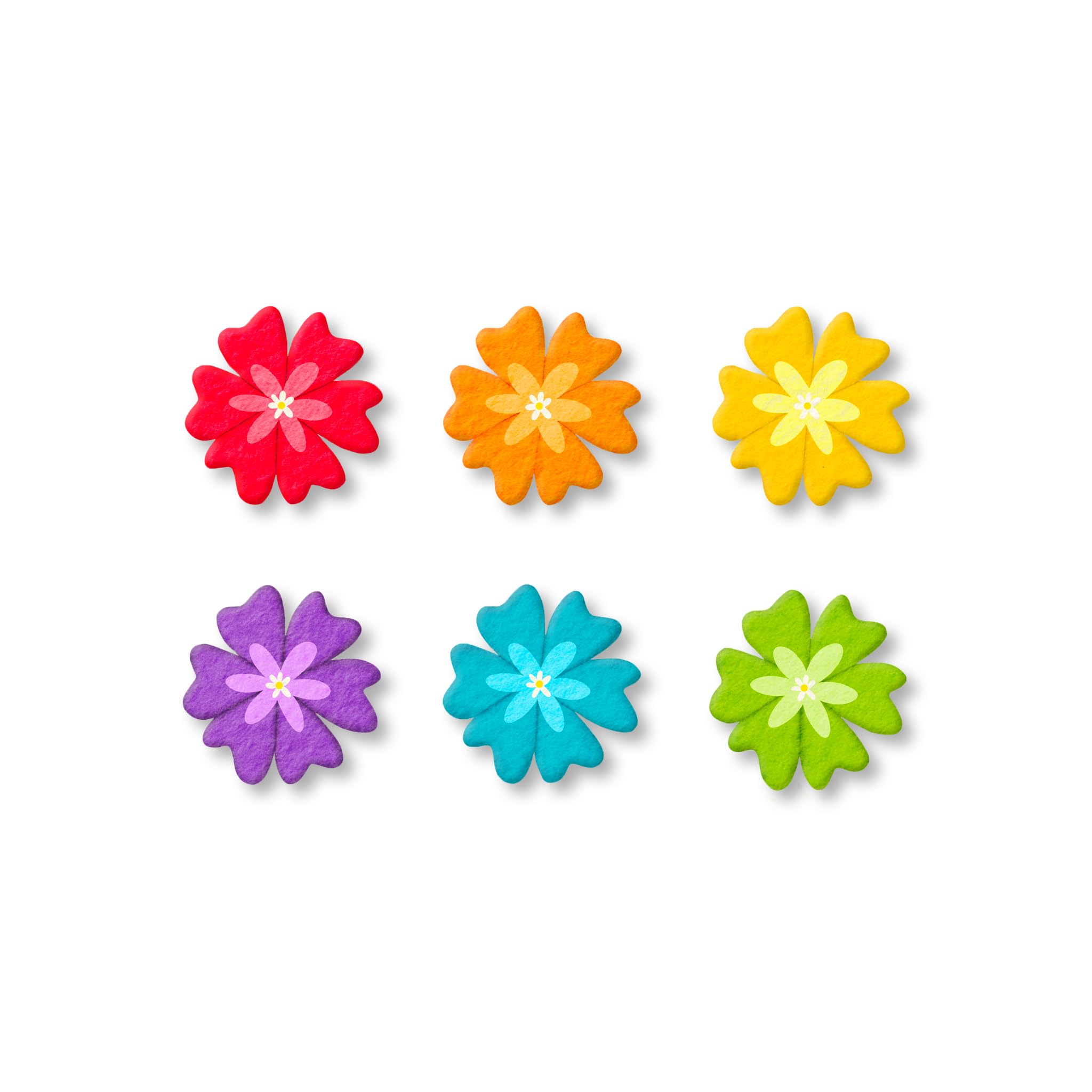 Roeda Brighten Your Life 22044m Cheery Rainbow Flowers Set of 6 Assorted Magnets