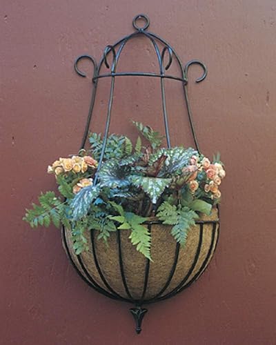 Maceta de pared de pavo real de 22 pulgadas con forro de fibra de coco