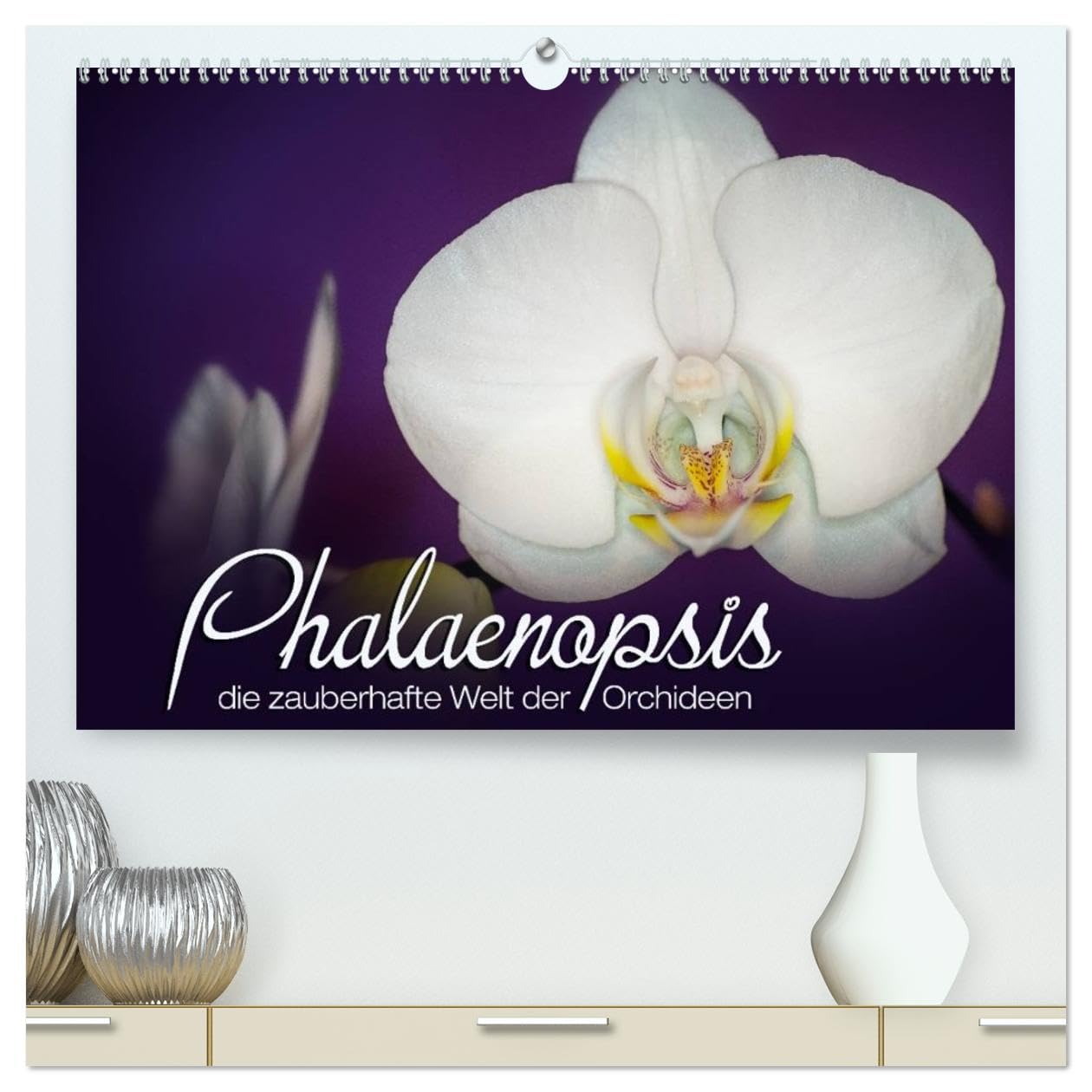 Phalaenopsis - die zauberhafte Welt der Orchideen (hochwertiger Premium Wandkalender 2026 DIN A2 quer), Kunstdruck in Hochglanz: Eine kleine ... meiner Orchideen-Familie. (CALVENDO Orte)