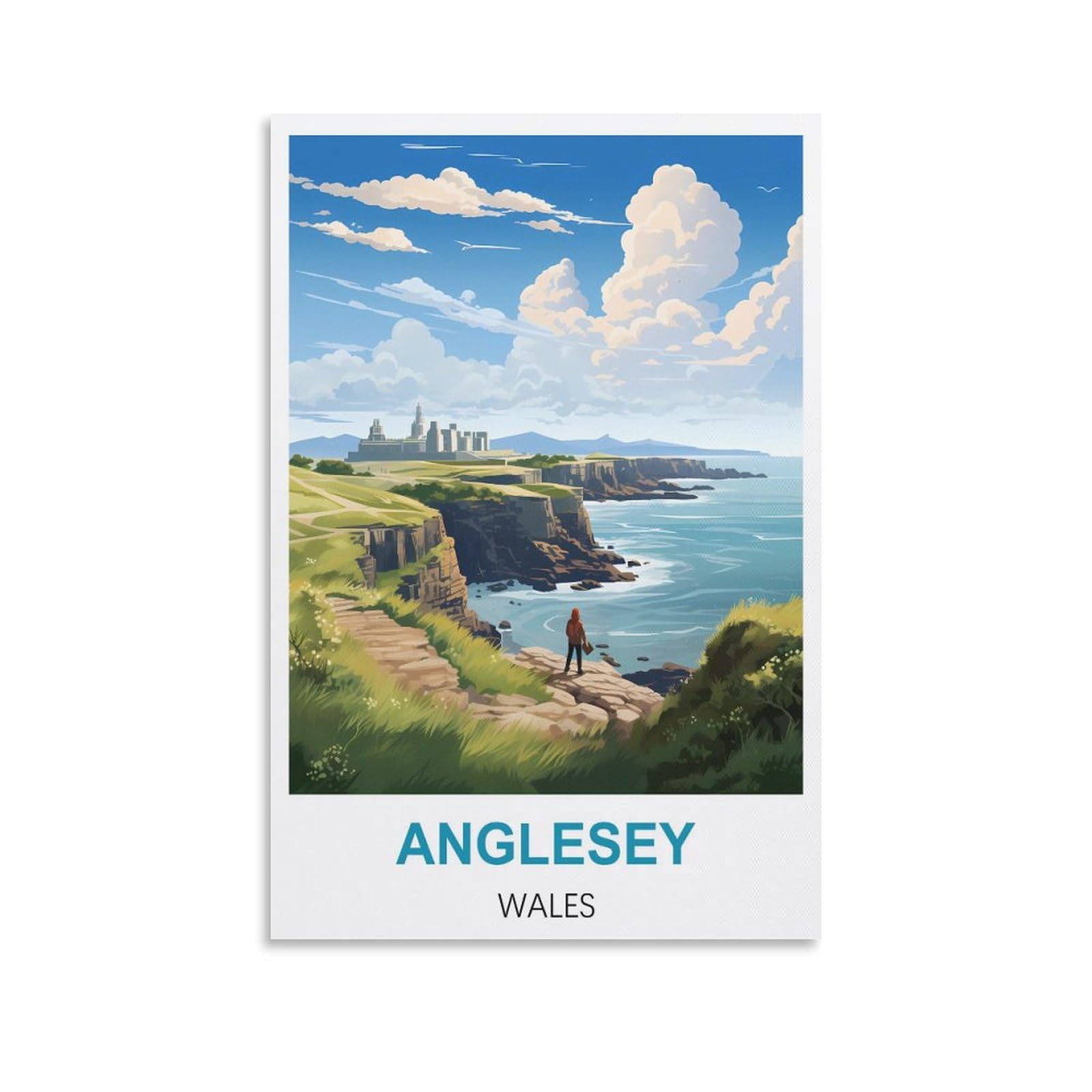 Vintage Metal Tin Sign,Anglesey Waless,Vintage Tin Sign Metal Retro Art Wall Poster for Home Club Garden Decor 15x30cm