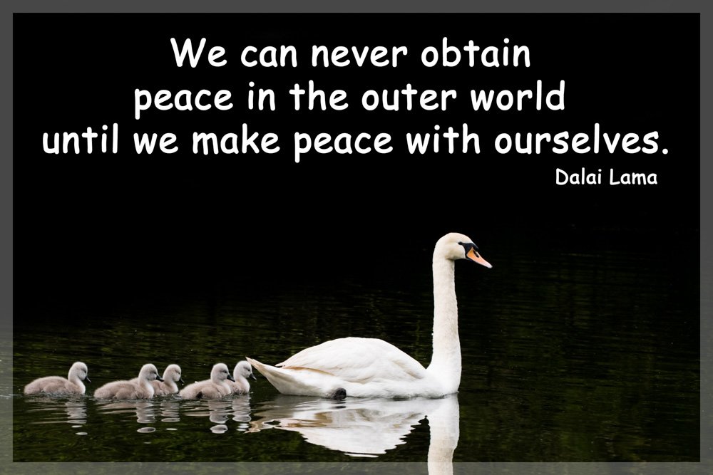 Inspirational Friendship Dalai Lama Peace Quote swan Fridge Magnet. Perfect Exclusive Birthday or Christmas Gift