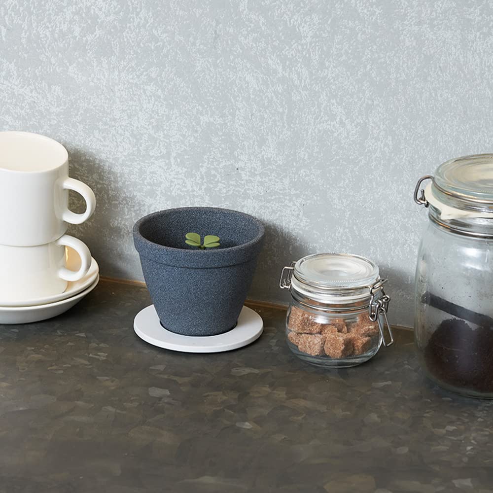 アッシュコンセプト(H CONCEPT)+D(プラスディー) キノメL セラミックコーヒーフィルター KINOME L DA-1321 Amazon｜アッシュコンセプト(H concept)+d(プラスディー) キノメL