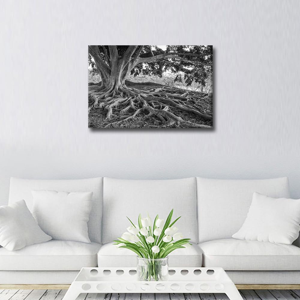 Black and White Canvas Wall Art for Bedroom Big Tree Root Wall Paintings for Living Room Natural Landscape Office Modern Wall Art Pictures Print On Canvas Giclee Framed Ready to Hang - Image 4