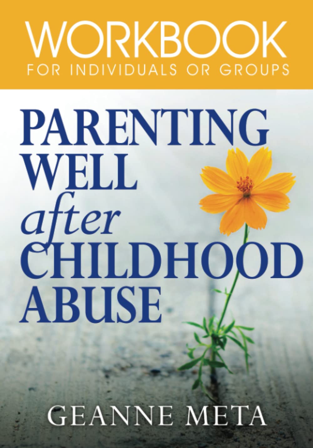 Parenting Well After Childhood Abuse: Workbook for Individuals or Groups