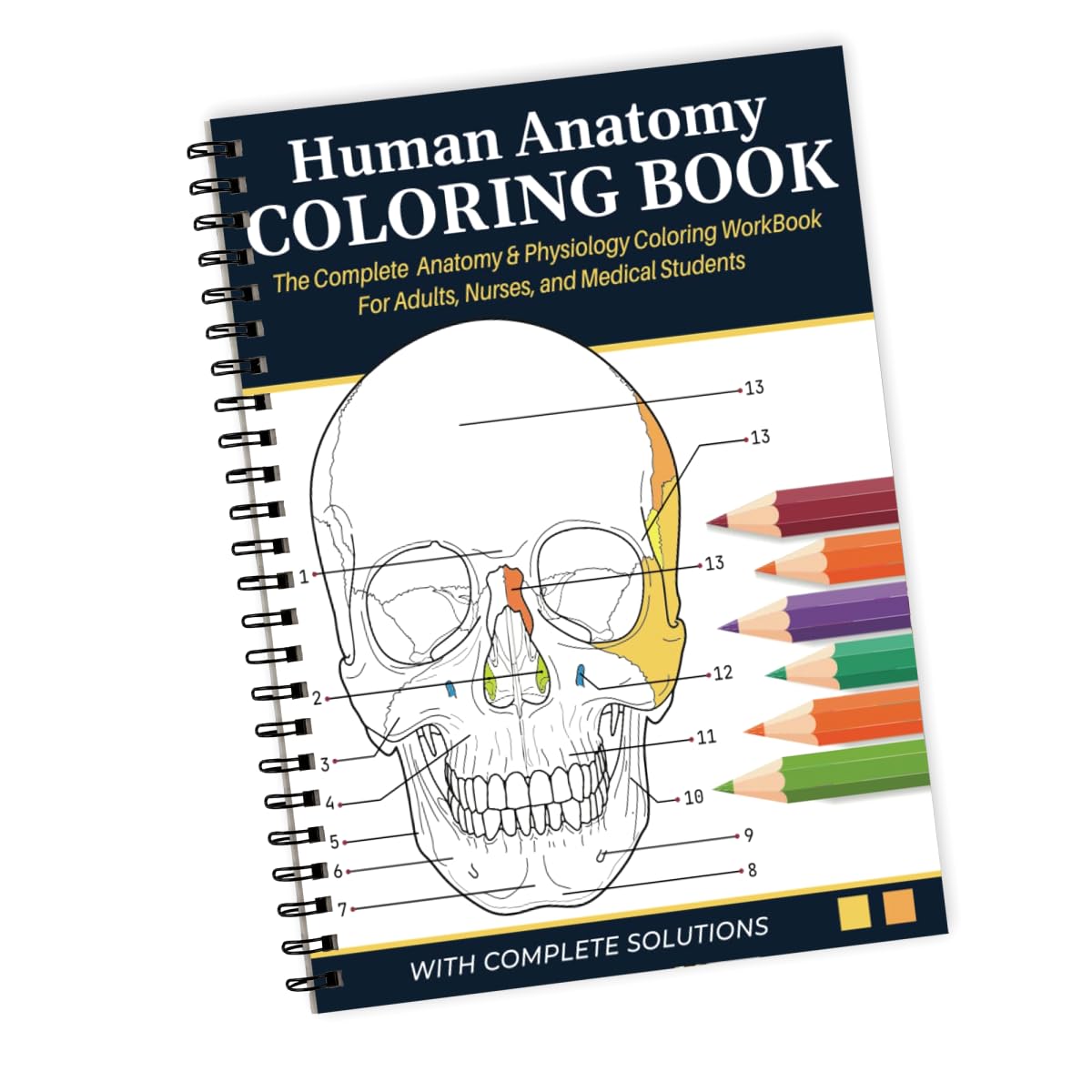 HUMAN ANATOMY AND PHYSIOLOGY COLORING BOOK visual data 3