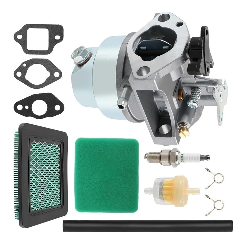 Carburateur GCV160 pour l'entretien de la pelouse et la tonte du jardin de printemps