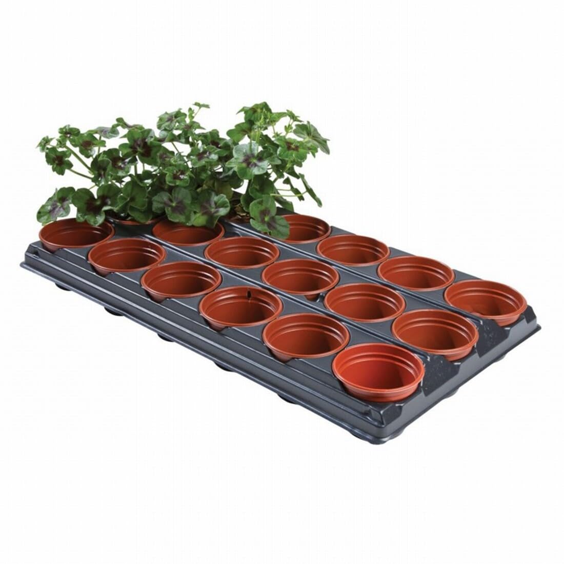 Garland Potting On Tray 18 Pots Plus Tray