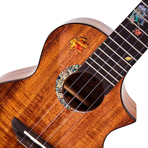 Ukulélé 26 Pouces Ukulélé Ténor Artisanat Solide 4 Cordes Finition Brillante De Guitare Avec Étui Rigide/Accordeur/Capo… - Les Beatles, Paul McCartney, John Lennon, RIngo Starr, George Harrison Ukulélé 26 Pouces Ukulélé Ténor Artisanat Solide 4 Cordes Finition Brillante De Guitare Avec Étui Rigide/Accordeur/Capo… – Image 3