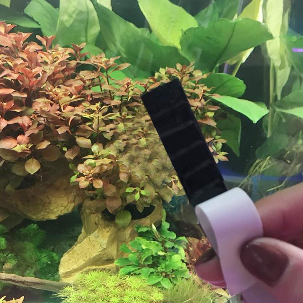 TTTLLNN Strips Aquarium Adhesive Strip Sticker Temperature for Fish for Wine Jar 68? 94? & 20?