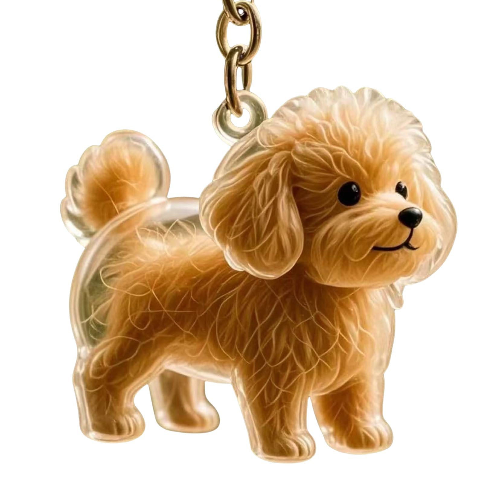 Portachiavi commemorativo trasparente per animali domestici, per peli di cani, per collezionisti di cani, regalo per proprietari di cani in lutto